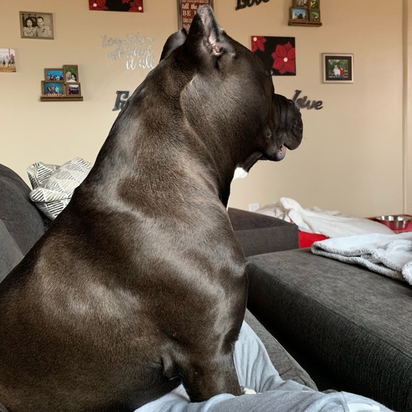 Meet your Posher, Jolene - Picture 1 of 1